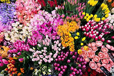 《寂静岭：短讯》已被中国台湾评级删除 开发被取消了？